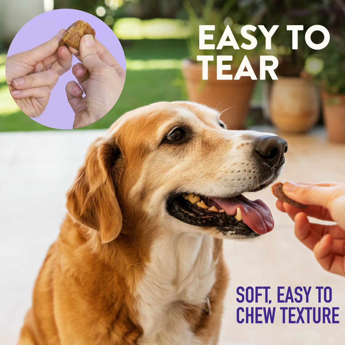 Dogswell Lifestage Senior Treats Jerky Soft Strip Duck