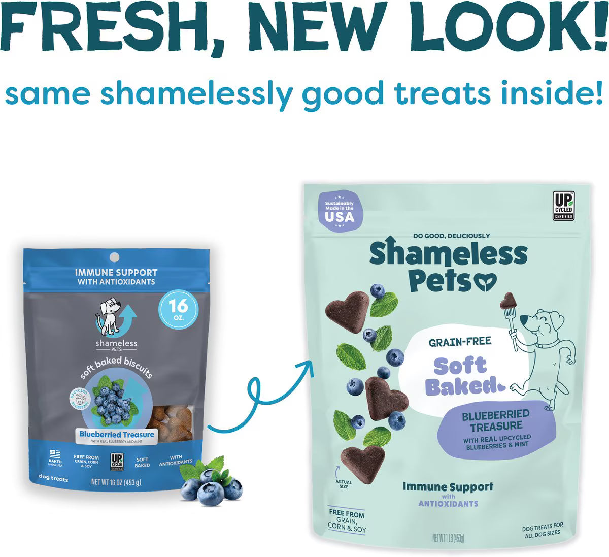 Shameless Pets Blueberried Treasure Soft-Baked Biscuit for Dogs