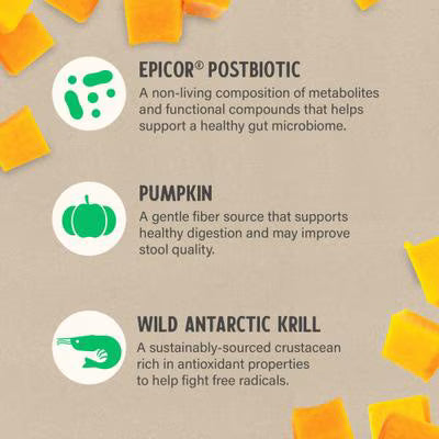 Grizzly Gut Health Liquid Bottle