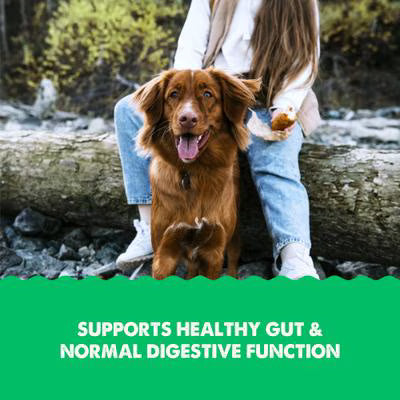 Grizzly Gut Health Liquid Bottle