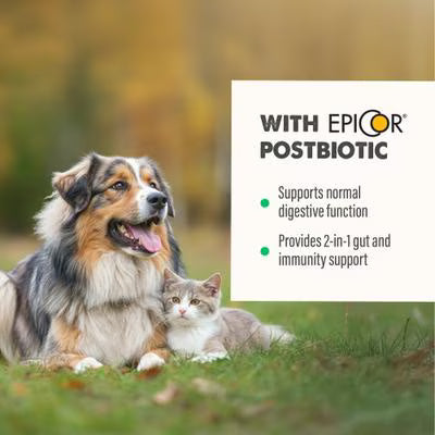 Grizzly Gut Health Liquid Bottle