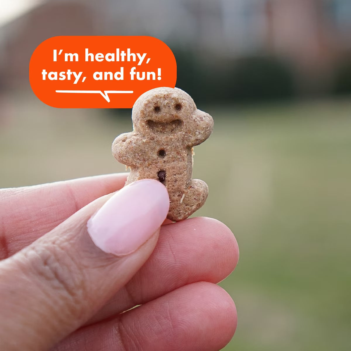 Buddy Softies Soft & Chewy Dog Treats Peanut Butter