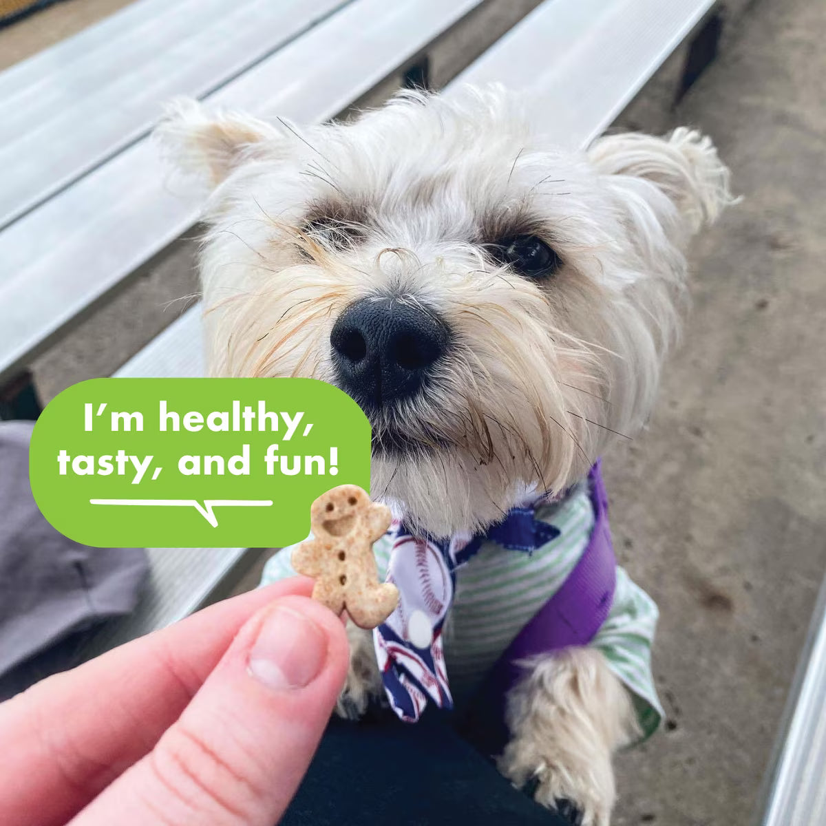 Buddy Biscuits Teeny Crunchy Treats with Roasted Chicken