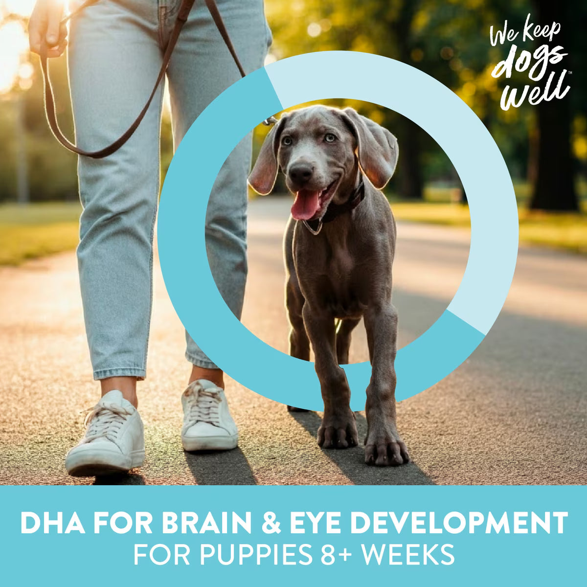 Dogswell Lifestage Puppy Treats Mini Soft Strips Lamb