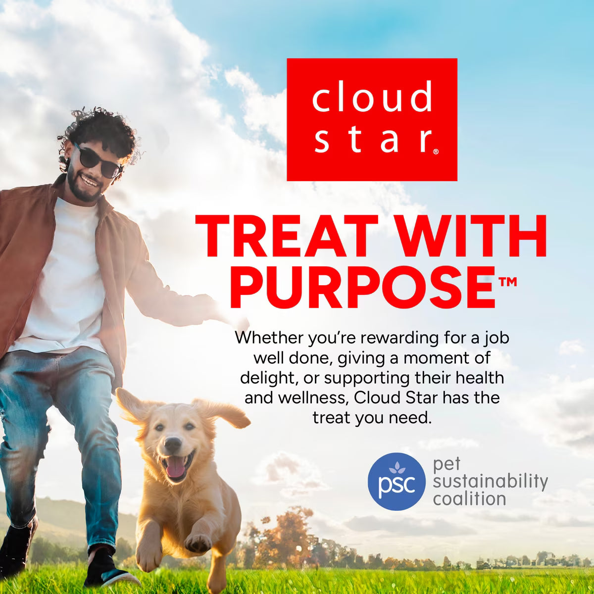 Dogswell Lifestage Puppy Treats Mini Soft Strips Lamb