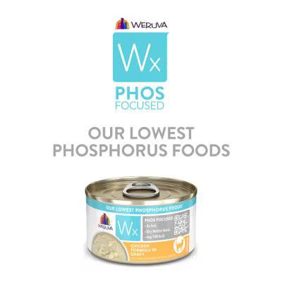 Weruva Wx Phos Focused Chicken Formula in Gravy
