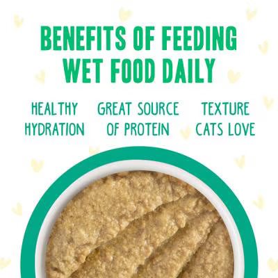 Weruva BFF Cat Play Pate Chicken & Turkey Tiptoe