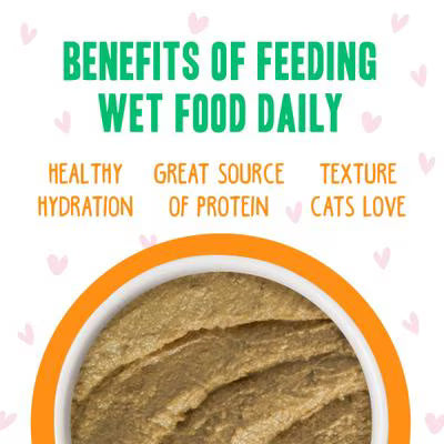 Weruva BFF Cat Play Pate Tuna & Salmon Oh Snap