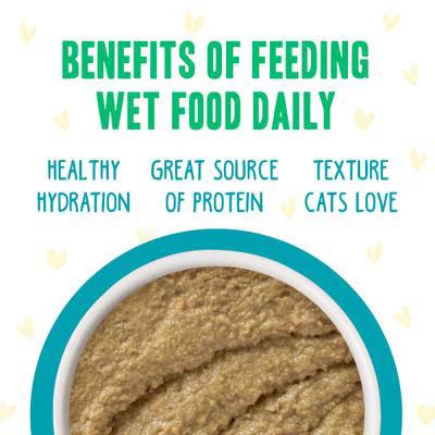 Weruva BFF Cat Play Pate Chicken & Turkey Topsy Turvy