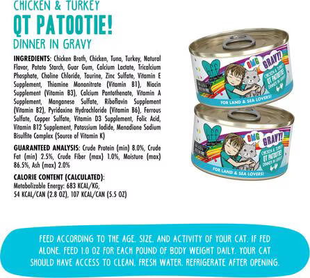 Weruva BFF Chicken & Turkey QT Patootie