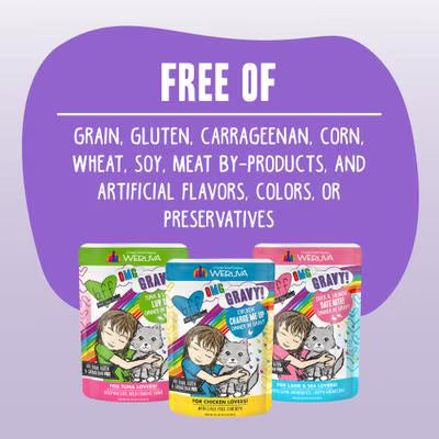 Weruva BFF Cat OMG Gravy Beef & Chicken Booya