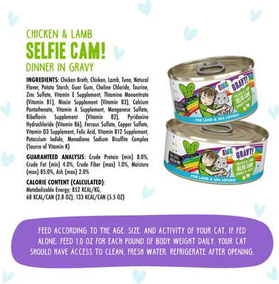 Weruva BFF Chicken & Lamb Selfie Cam
