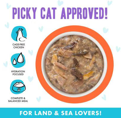 Weruva BFF Chicken & Salmon Crazy 4 U