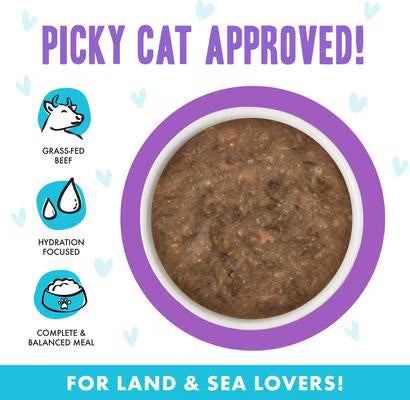 Weruva BFF Beef & Salmon Best Day Eva