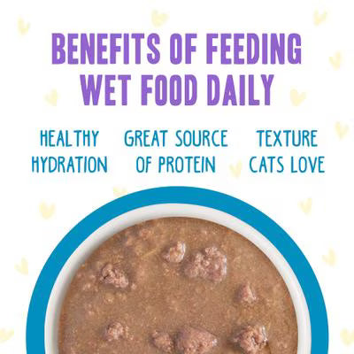 Weruva BFF Cat OMG Gravy Chicken Charge Me Up