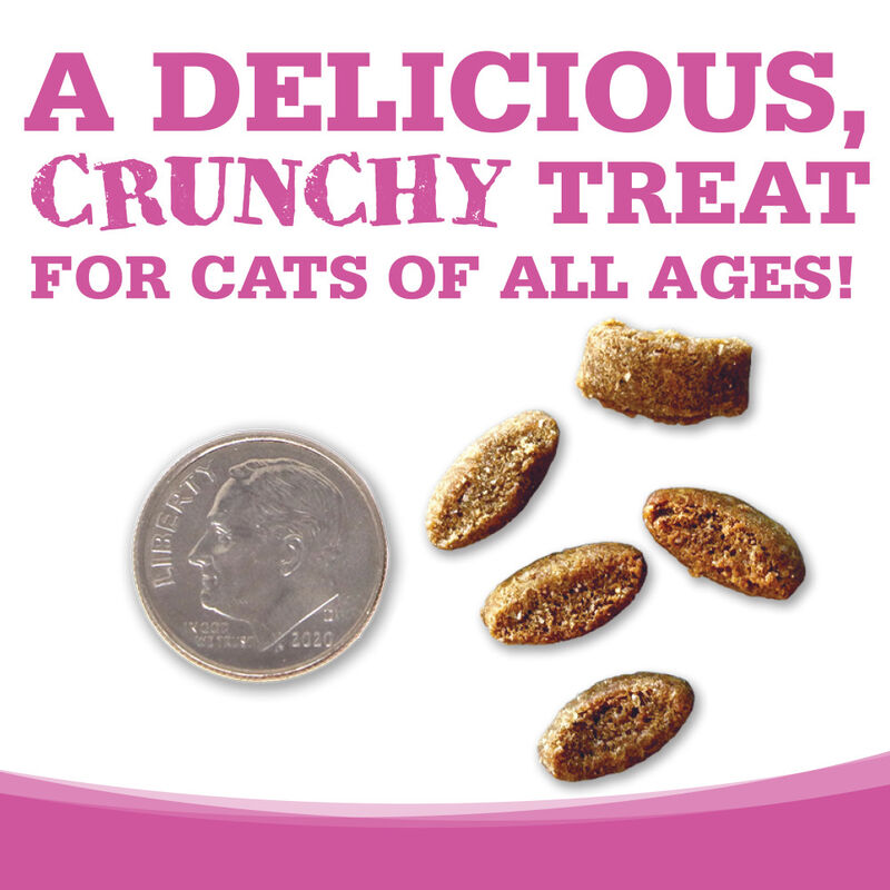 Nutrisource Crunchy Salmon and Tuna Recipe Cat Treats