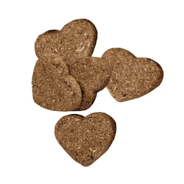 Oxbow Simple Rewards Baked Treats - Carrot & Dill
