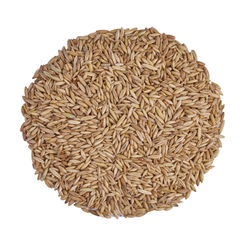 Scratch & Peck Organic Barley