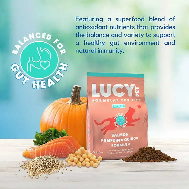 Lucy Pet Salmon, Pumpkin & Quinoa for Cats