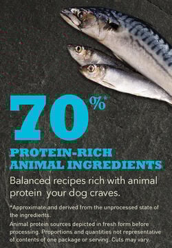 ACANA Wild Atlantic Dry Dog Food