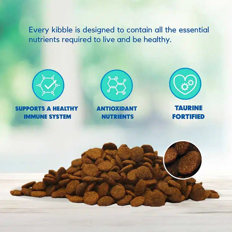 Lucy Pet Salmon, Pumpkin & Quinoa for Dogs