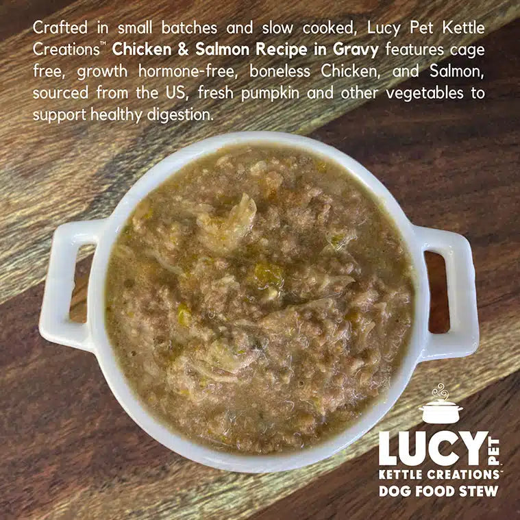 Lucy Pet Chicken & Salmon Recipe in Gravy for Dogs