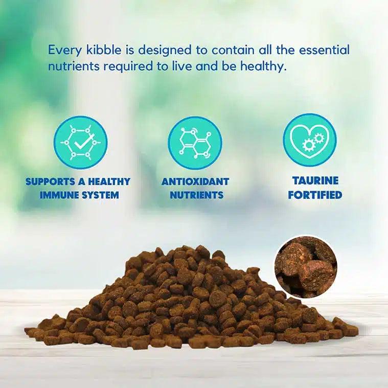 Lucy Pet Salmon, Pumpkin & Quinoa for Cats