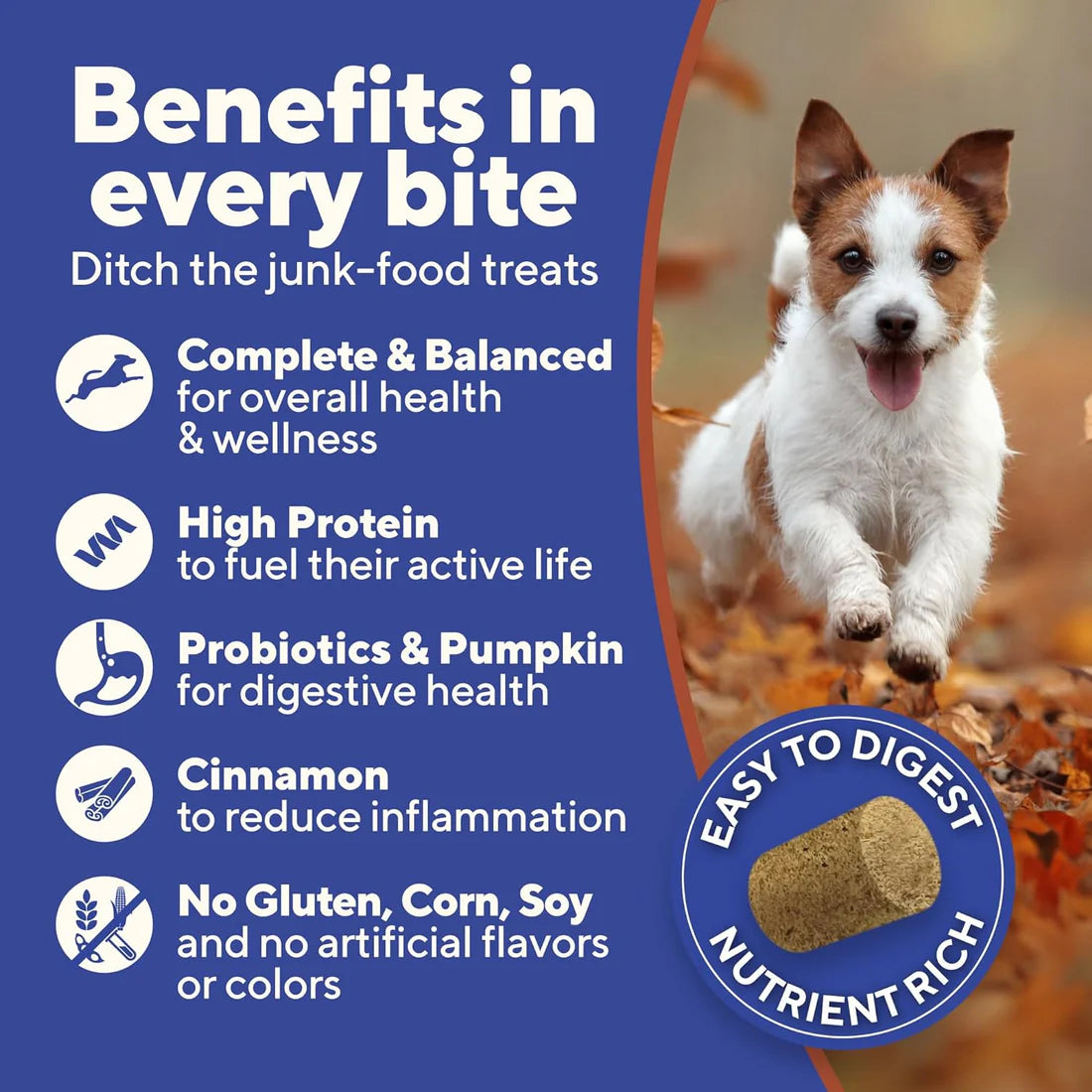 Dave's Pet Food Digesti-Bites Chicken, Rice & Pumpkin Dog Treats