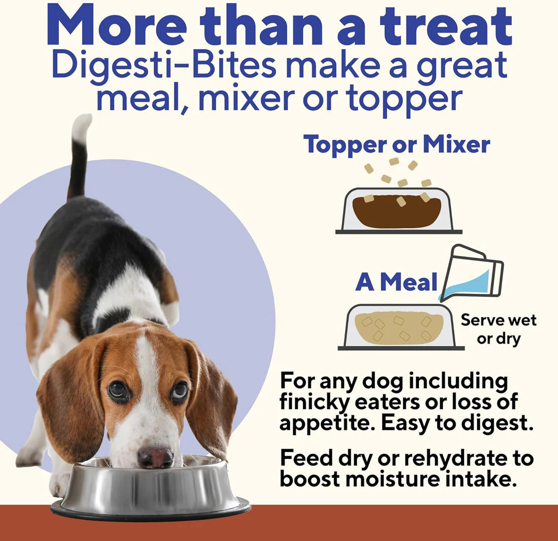 Dave's Pet Food Digesti-Bites Chicken, Rice & Pumpkin Dog Treats