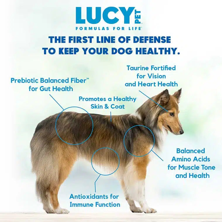 Lucy Pet Chicken, Brown Rice & Pumpkin LID Small Bites Dog Food