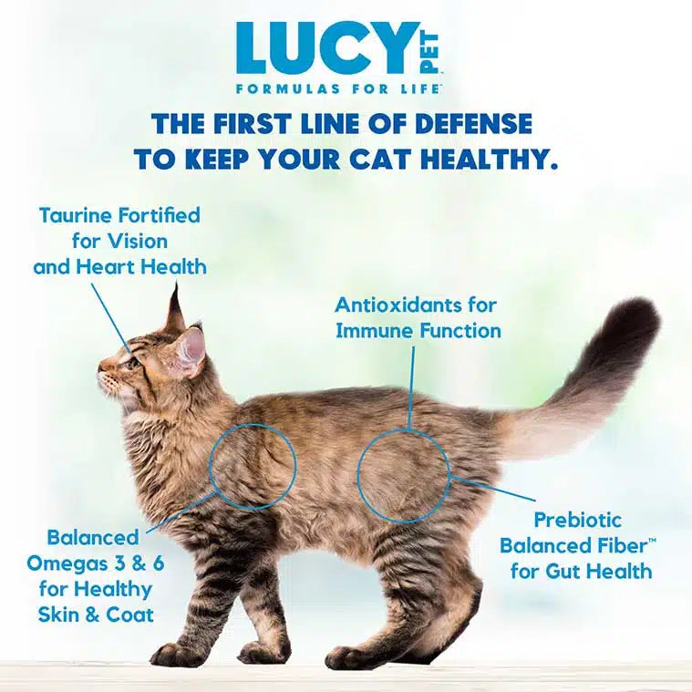 Lucy Pet Salmon, Pumpkin & Quinoa for Cats