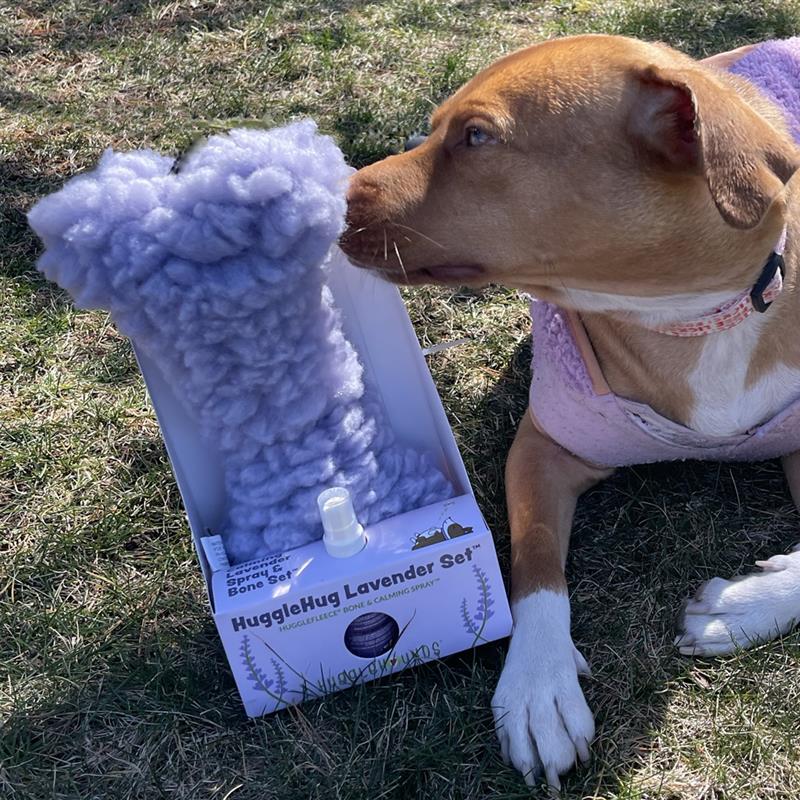 HuggleHounds HuggleHug Dog Toys Lavender Bone and Calming Spray Set