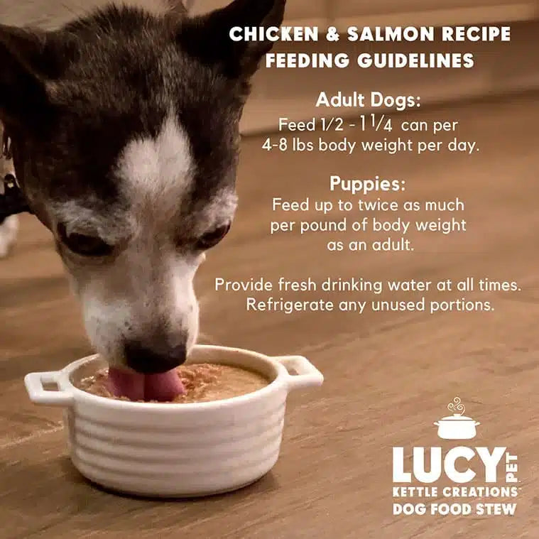 Lucy Pet Chicken & Salmon Recipe in Gravy for Dogs
