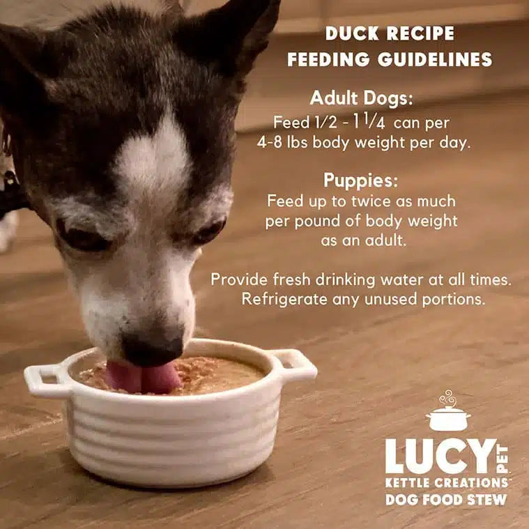 Lucy Pet Duck Recipe in Gravy for Dogs