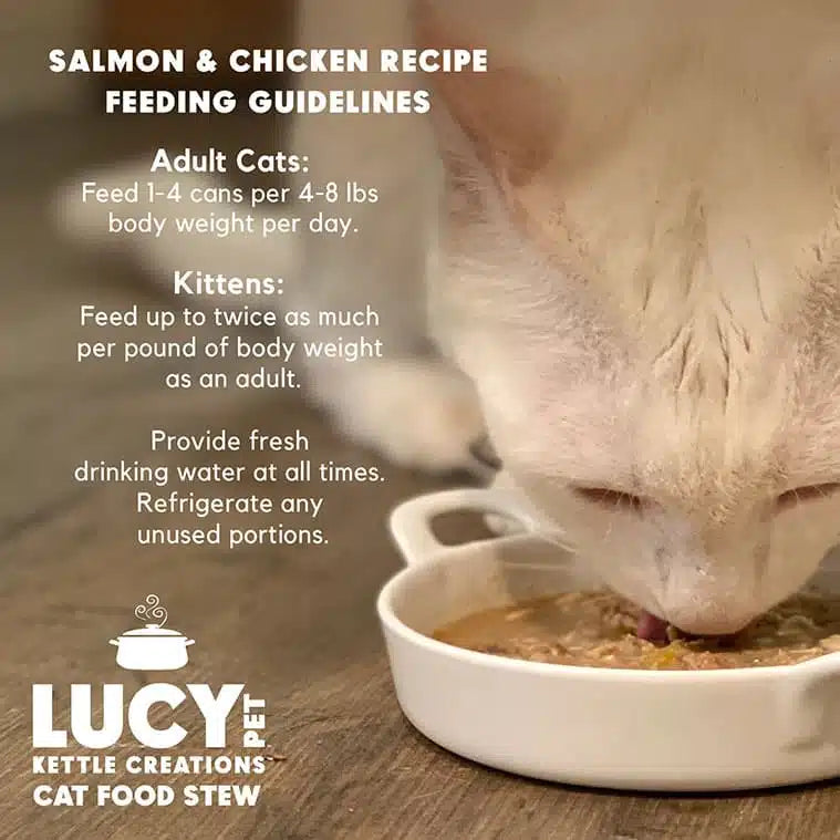Lucy Pet Salmon & Chicken Recipe in Gravy for Cats
