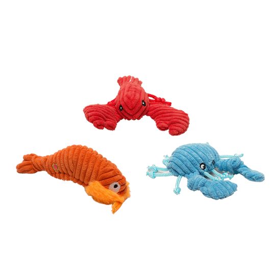HuggleHounds Raw Bar Wee Huggles Dog Toy