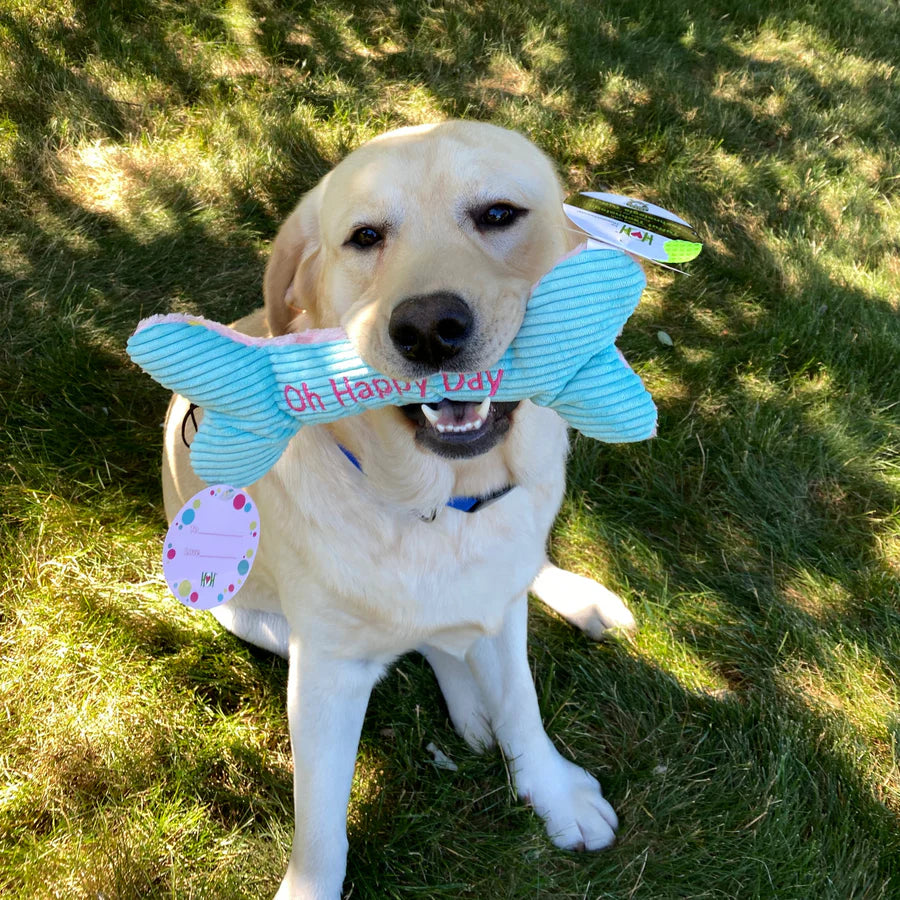 HuggleHounds Oh Happy Day Birthday Bone