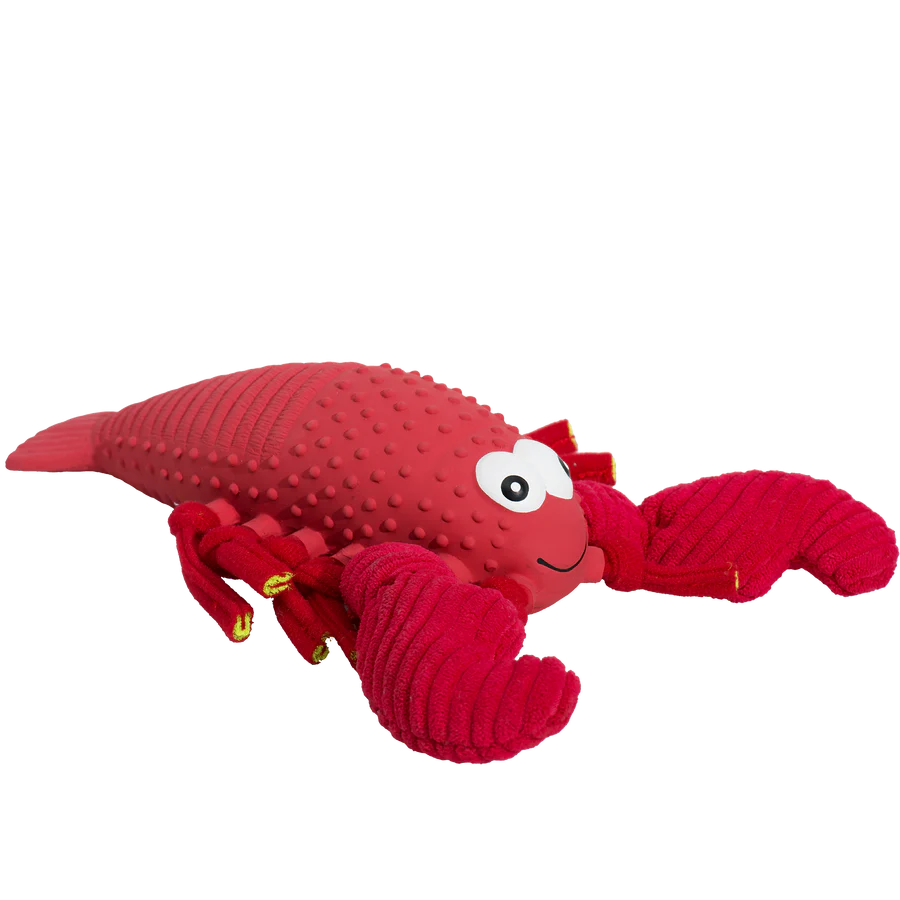 HuggleHounds Huggle-Fusion Dog Toy