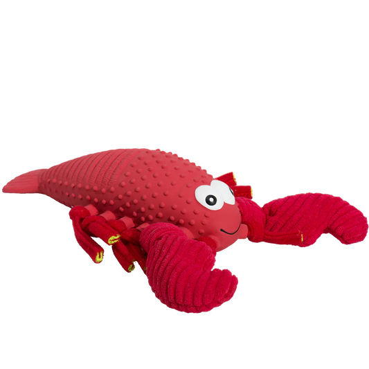 HuggleHounds Huggle-Fusion Dog Toy