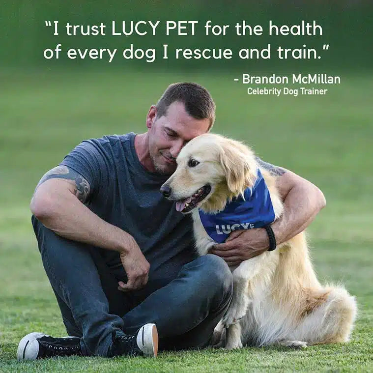 Lucy Pet Chicken, Brown Rice & Pumpkin LID Small Bites Dog Food