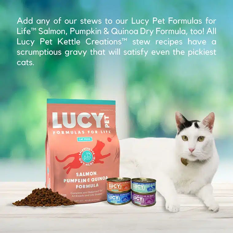 Lucy Pet Salmon & Chicken Recipe in Gravy for Cats