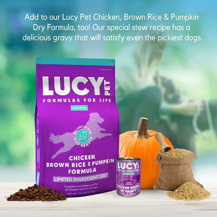 Lucy Pet Chicken Recipe in Gravy for Dogs
