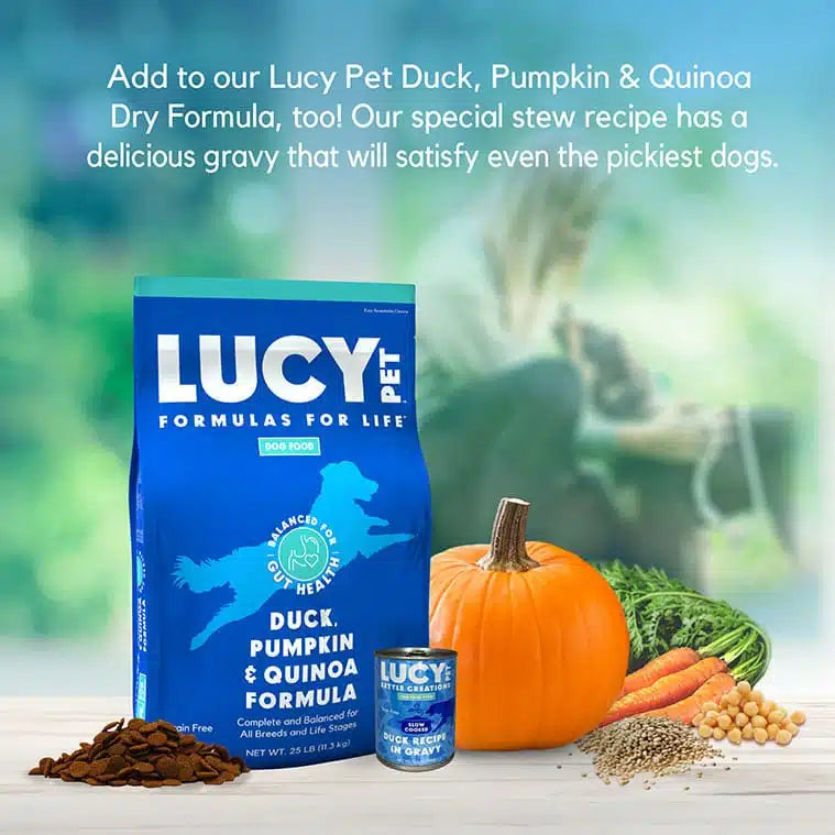 Lucy Pet Duck Recipe in Gravy for Dogs