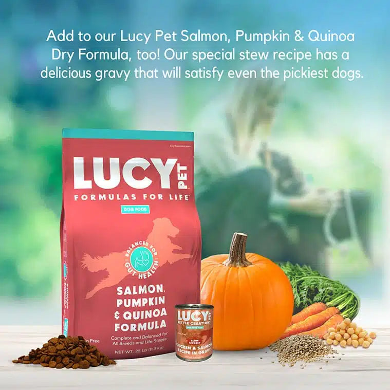 Lucy Pet Chicken & Salmon Recipe in Gravy for Dogs