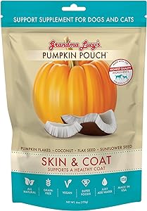 Grandma Lucy's Skin and Coat Pumpkin Pouch