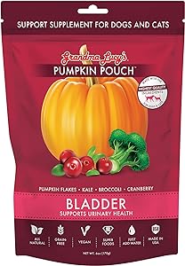 Grandma Lucy's Bladder Pumpkin Pouch