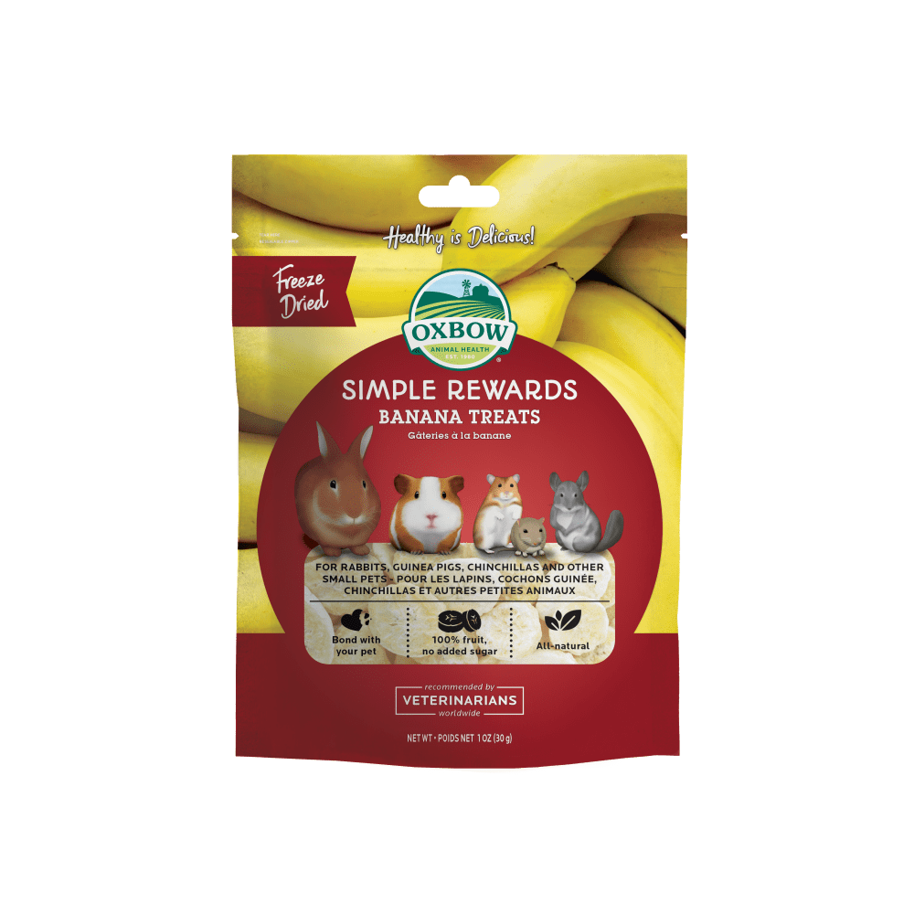Oxbow Simple Rewards Banana Treats