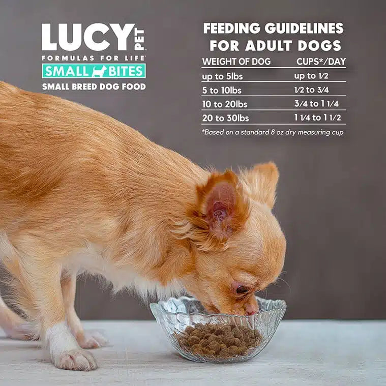 Lucy Pet Chicken, Brown Rice & Pumpkin LID Small Bites Dog Food