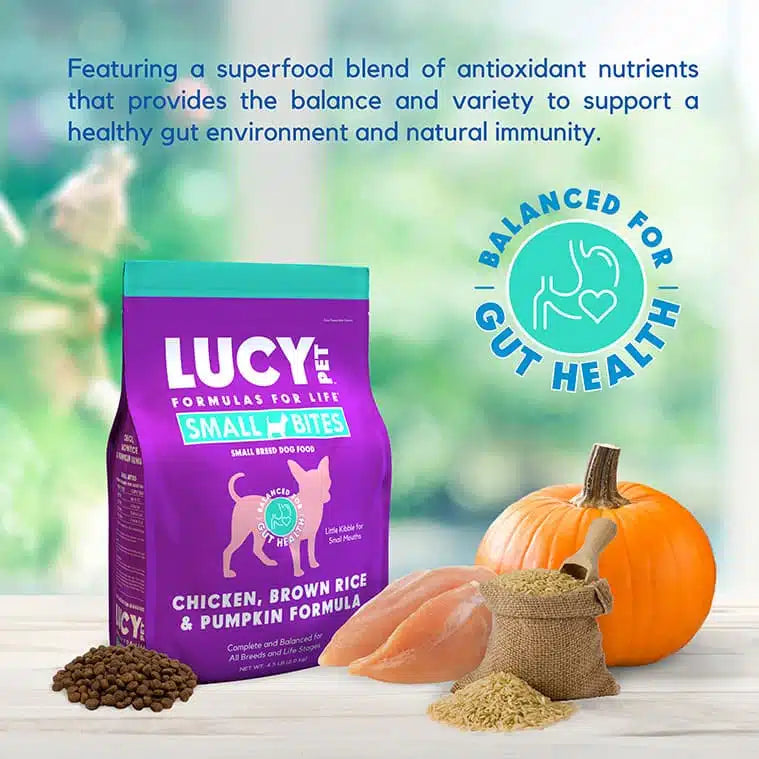 Lucy Pet Chicken, Brown Rice & Pumpkin LID Small Bites Dog Food