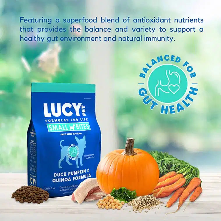 Lucy Pet Duck Pumpkin & Quinoa Small Bites Dog Food